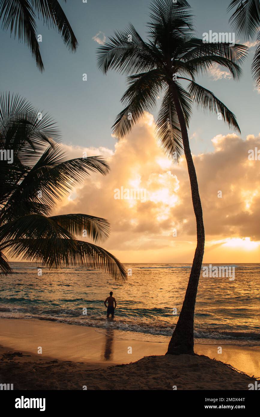 Tramonto sulla spiaggia con palme e cielo nuvoloso Foto Stock