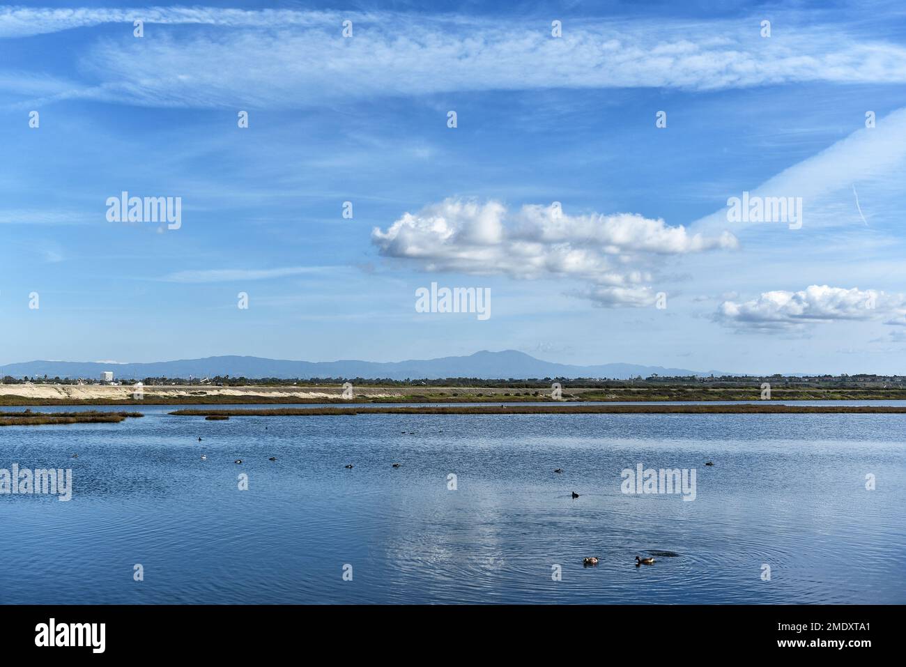 La riserva ecologica Bolsa Chica, la più grande palude di acqua salata lungo la costa della California, con le montagne di Santa An in lontananza, Foto Stock