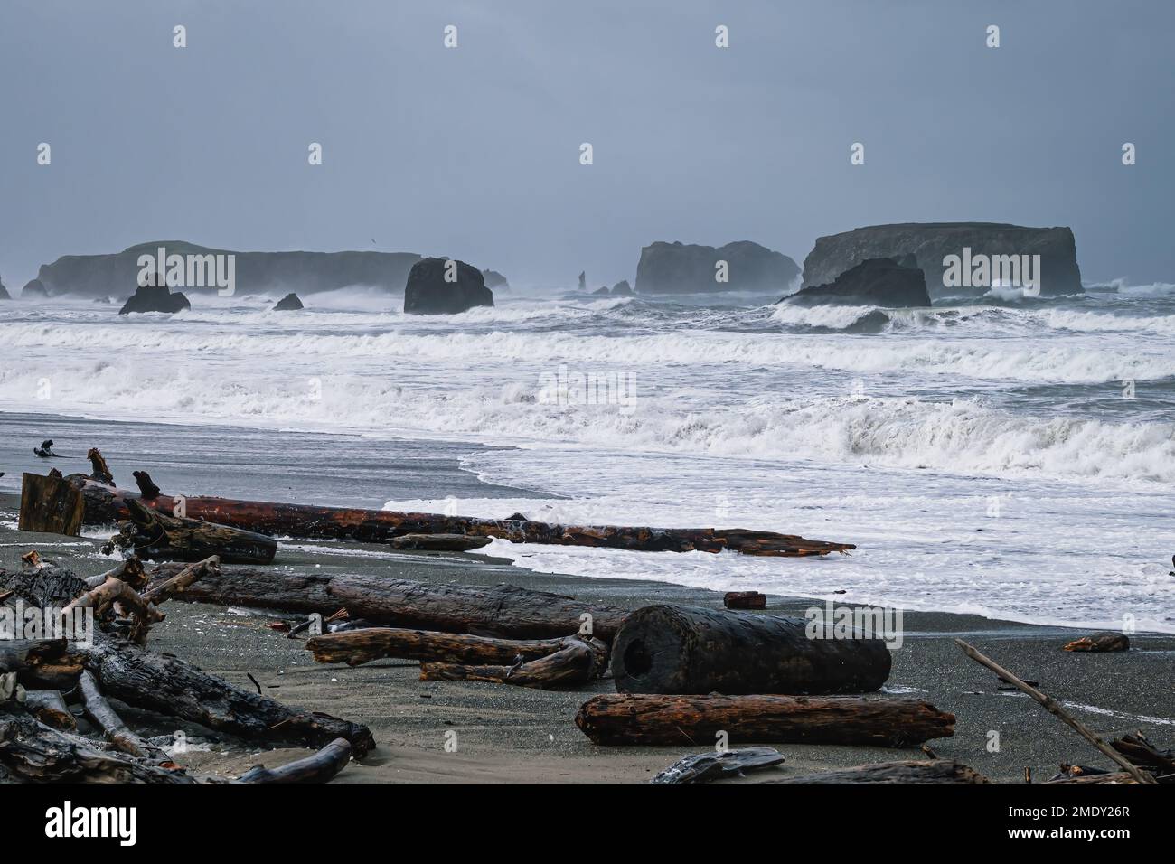 C'è un sacco di driftwood sulla spiaggia dell'Oregon Foto Stock