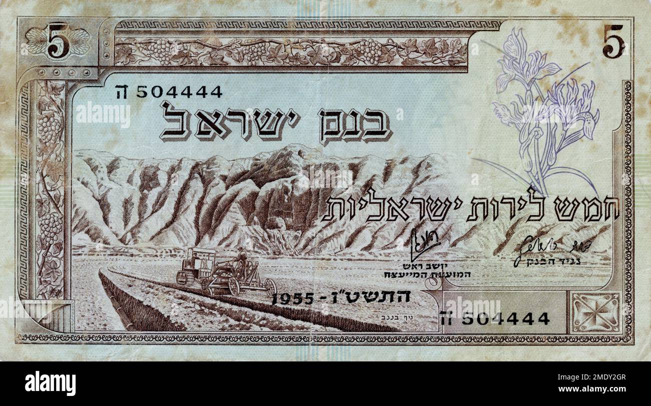 Vintage (1955) valuta di Israele: Legge di cinque livot, Banca di Israele, prima edizione, fronte Foto Stock