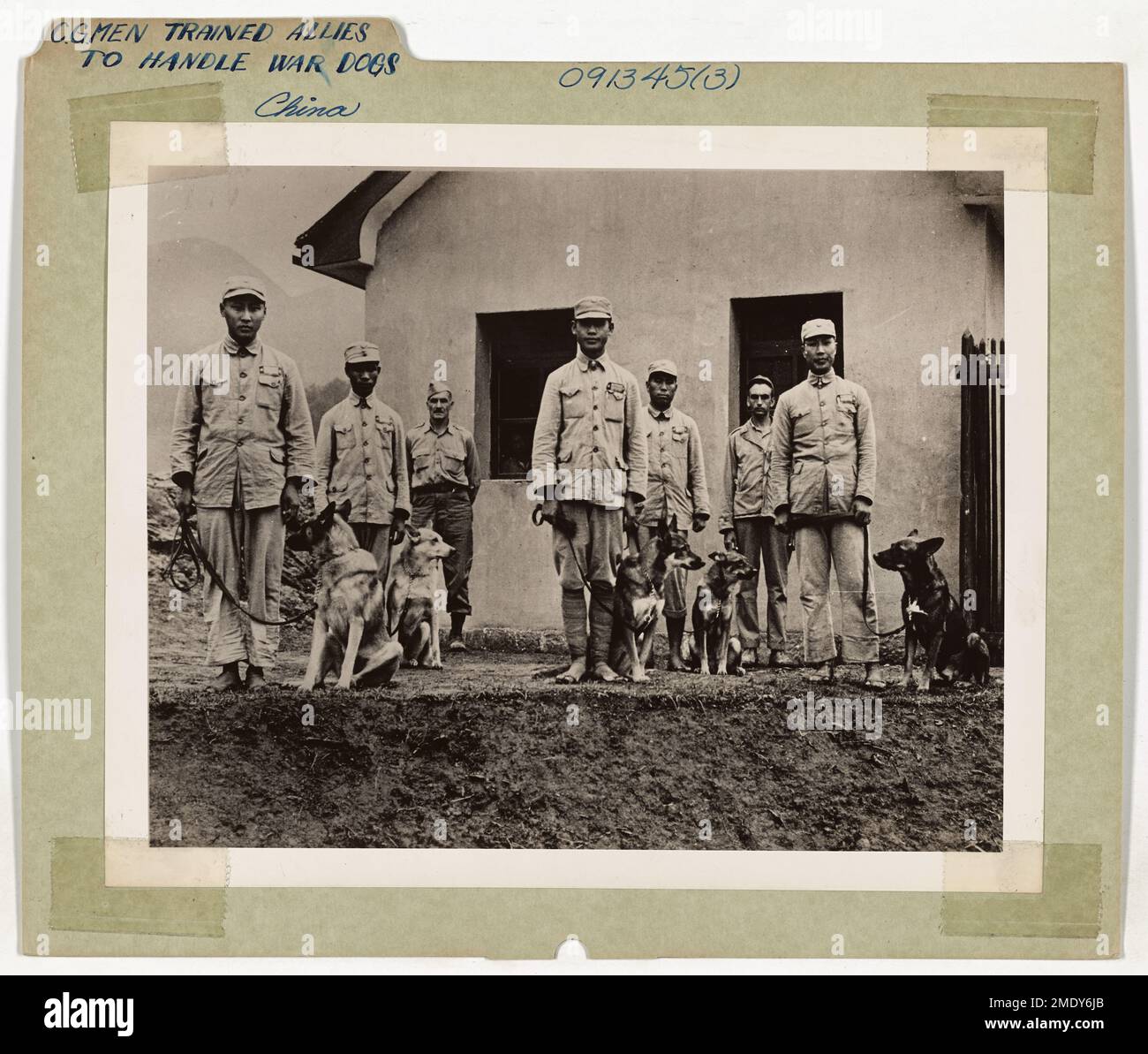 I guardiani della costa addestrarono gli alleati cinesi a gestire i cani da guerra. I guerriglieri cinesi sono stati addestrati dai guardiani della costa nella manipolazione dei cani da guerra. Operando da un quartier generale vicino a Chunking, i guardacoste, tutti esperti nella gestione di cani e cavalli, insegnarono ai loro studenti cinesi desiderosi come usare i cani da guerra per il lavoro di polizia e di pattuglia per assicurarsi le loro posizioni contro l'infiltrazione da parte del nemico. I venti istruttori della Guardia Costiera sono volati sopra la gobba per assistere i nostri alleati nelle installazioni di guardia. Nella fila posteriore, a sinistra, è il tenente comandante della Guardia Costiera Clayton Snyder, di Hume, VA. Foto Stock