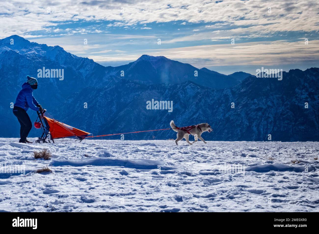 Scena di slitte nelle alpi italiane Foto Stock