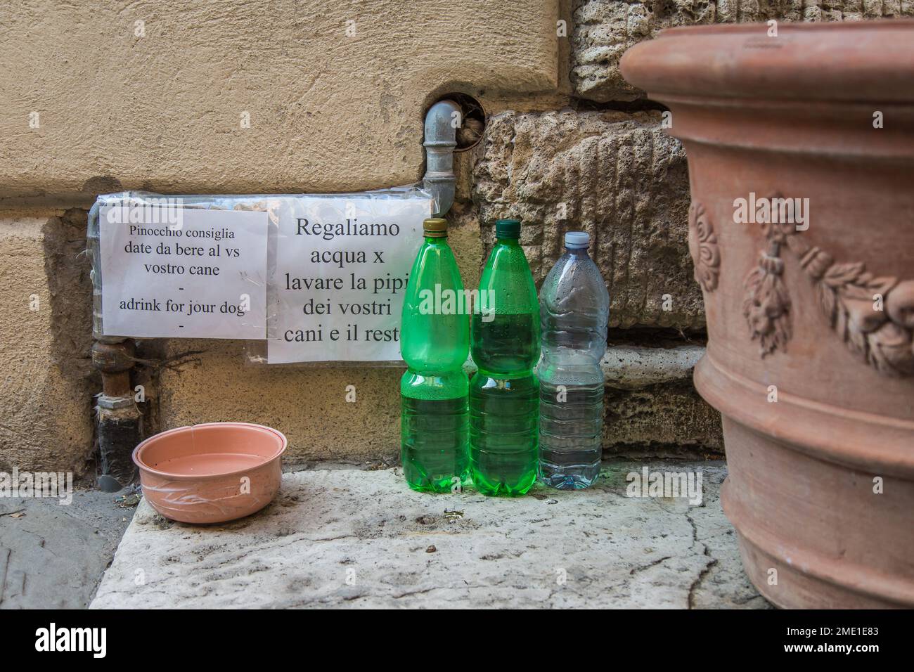 Bottiglie d'acqua e ciotola fuori dell'edificio per cani, Toscana, Italia. Foto Stock