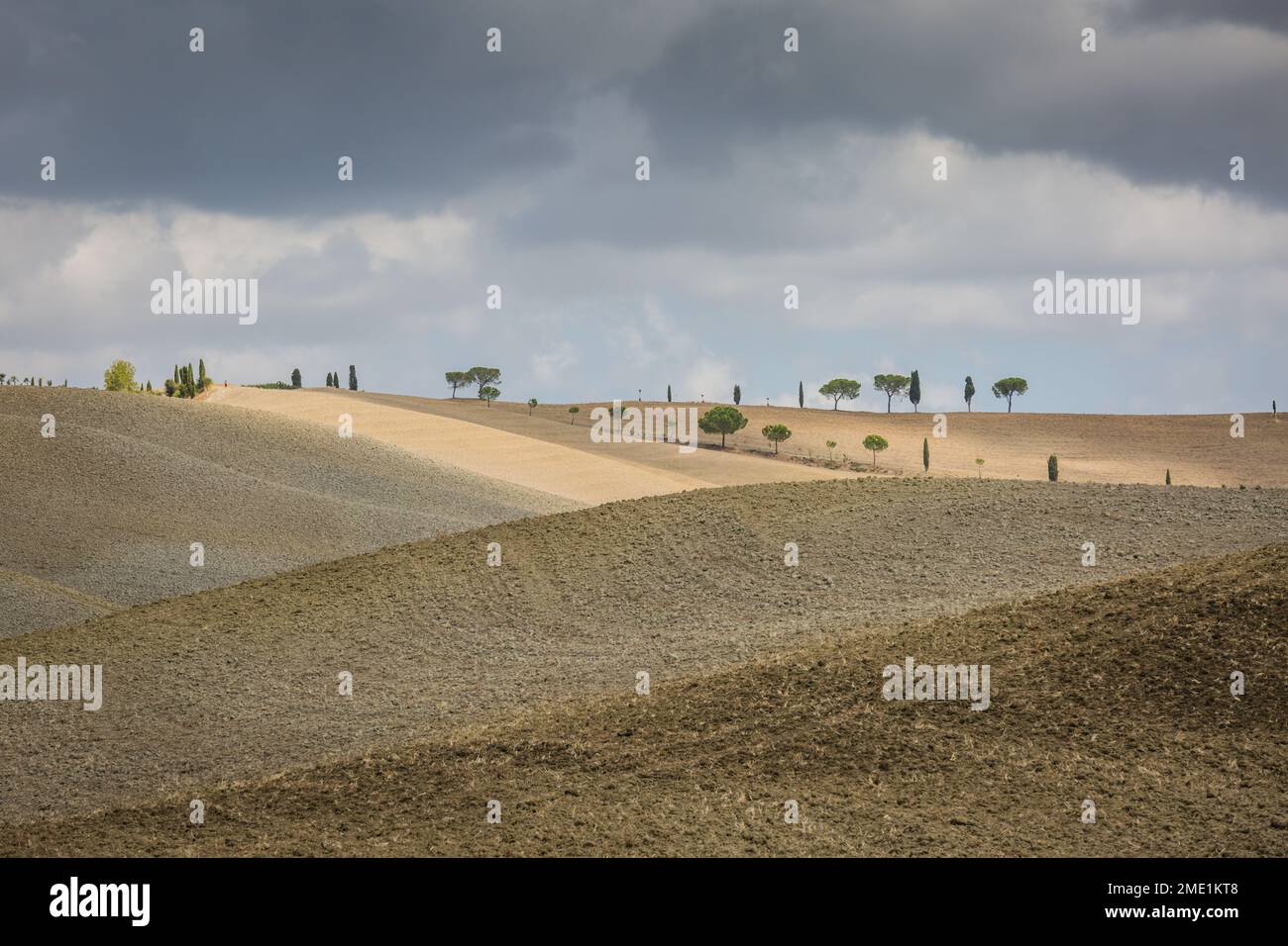 Paesaggio pittoresco con alberi che fiancheggiano le dolci colline della Val d'Orcia in Toscana in autunno. Foto Stock
