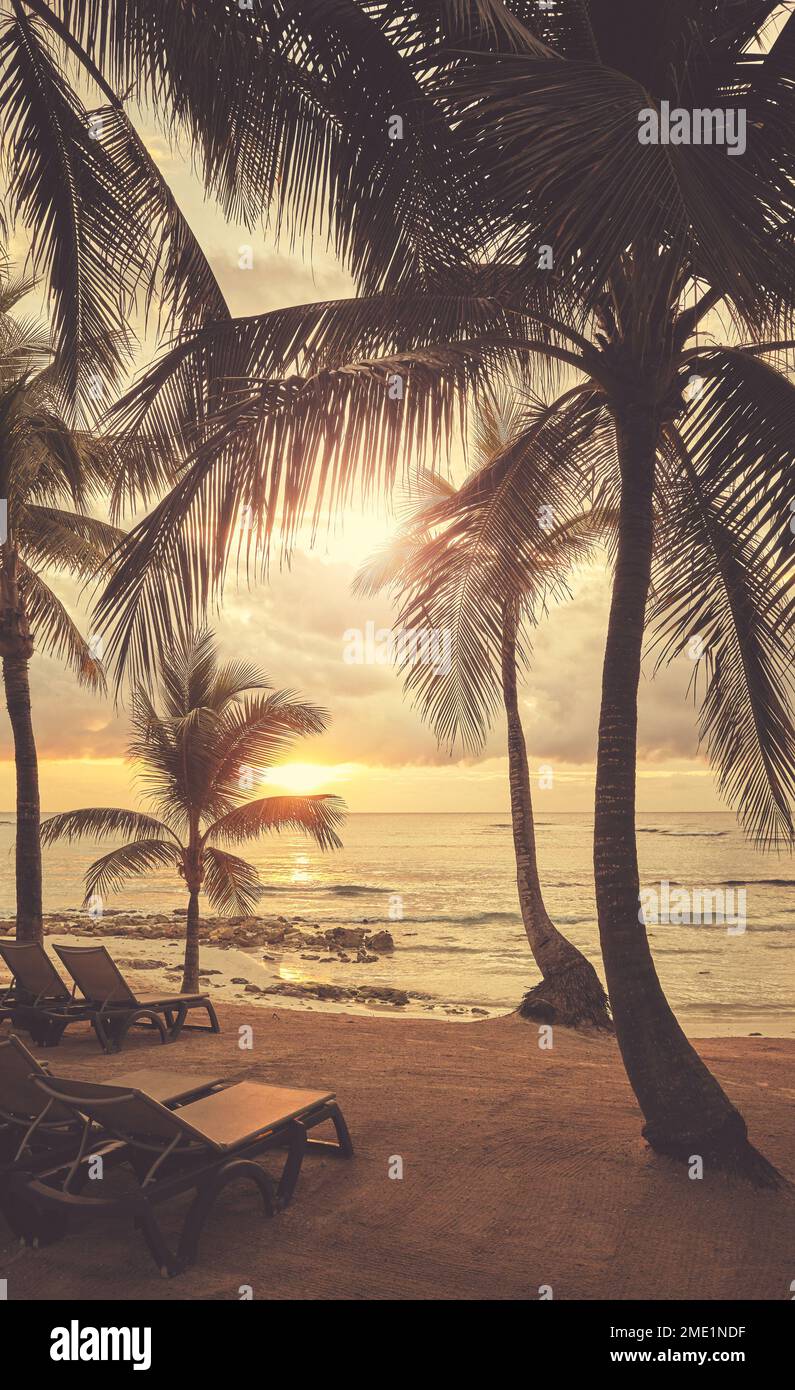 Spiaggia tropicale con palme da cocco al tramonto, immagine colorata. Foto Stock