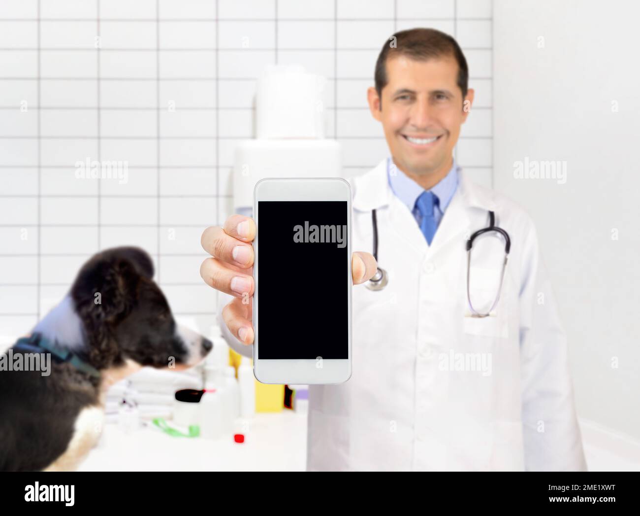 Veterinario che mostra un telefono cellulare in clinica Foto Stock