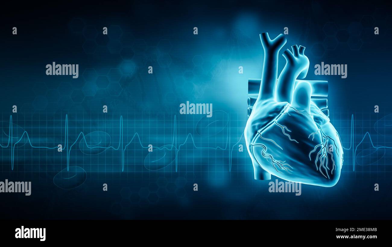 Illustrazione del rendering 3D del cuore umano e della forma d'onda EKG con spazio di copia e sfondo blu. Sistema cardiovascolare, anatomia, medico e sanitario, BI Foto Stock