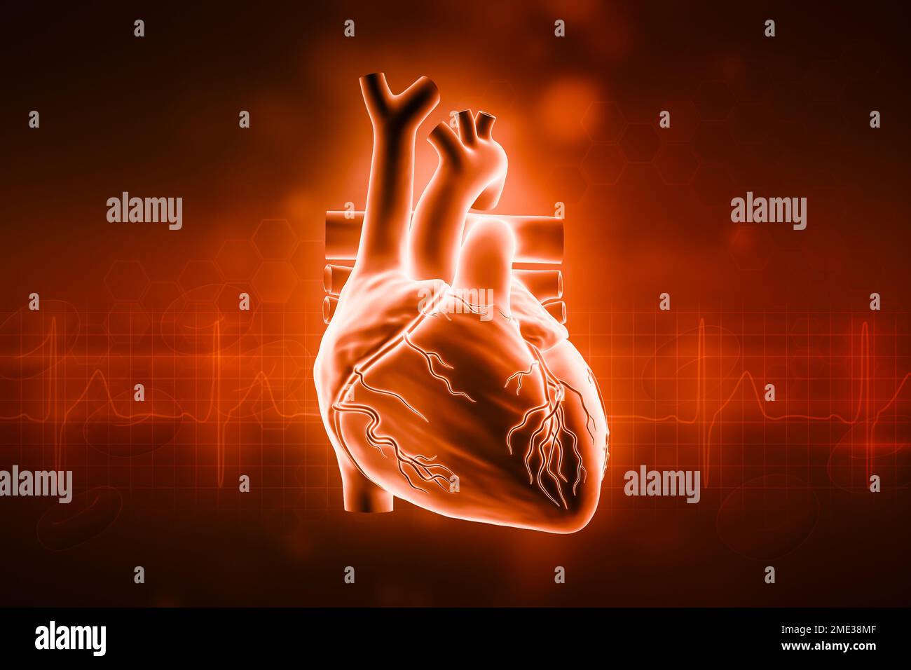 Illustrazione del rendering del cuore umano 3D con spazio di copia e sfondo rosso. Sistema cardiovascolare, anatomia, medicina e sanità, biologia, medicina, s Foto Stock