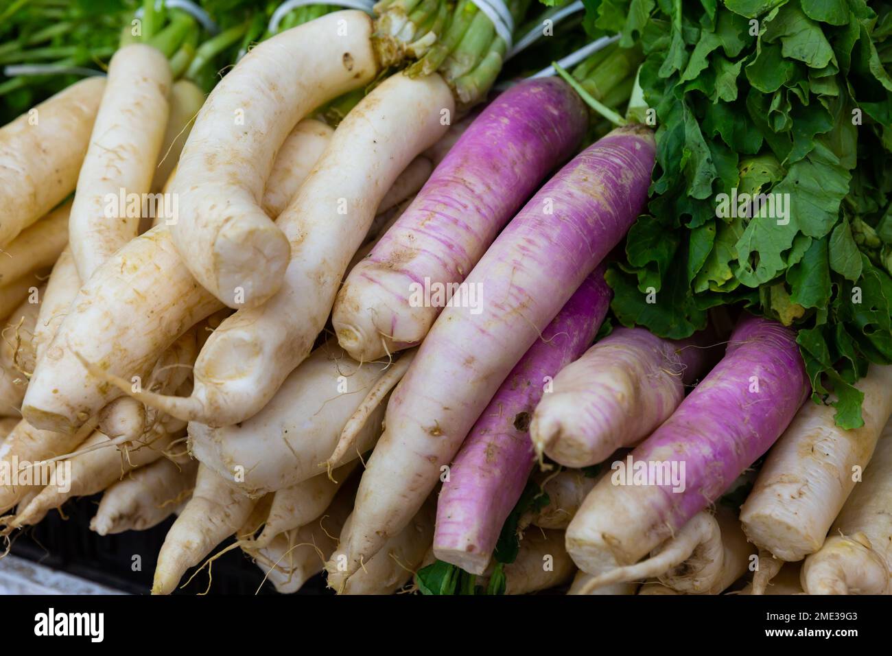 Rafano bianco esposto per la vendita al gregrocery Foto Stock