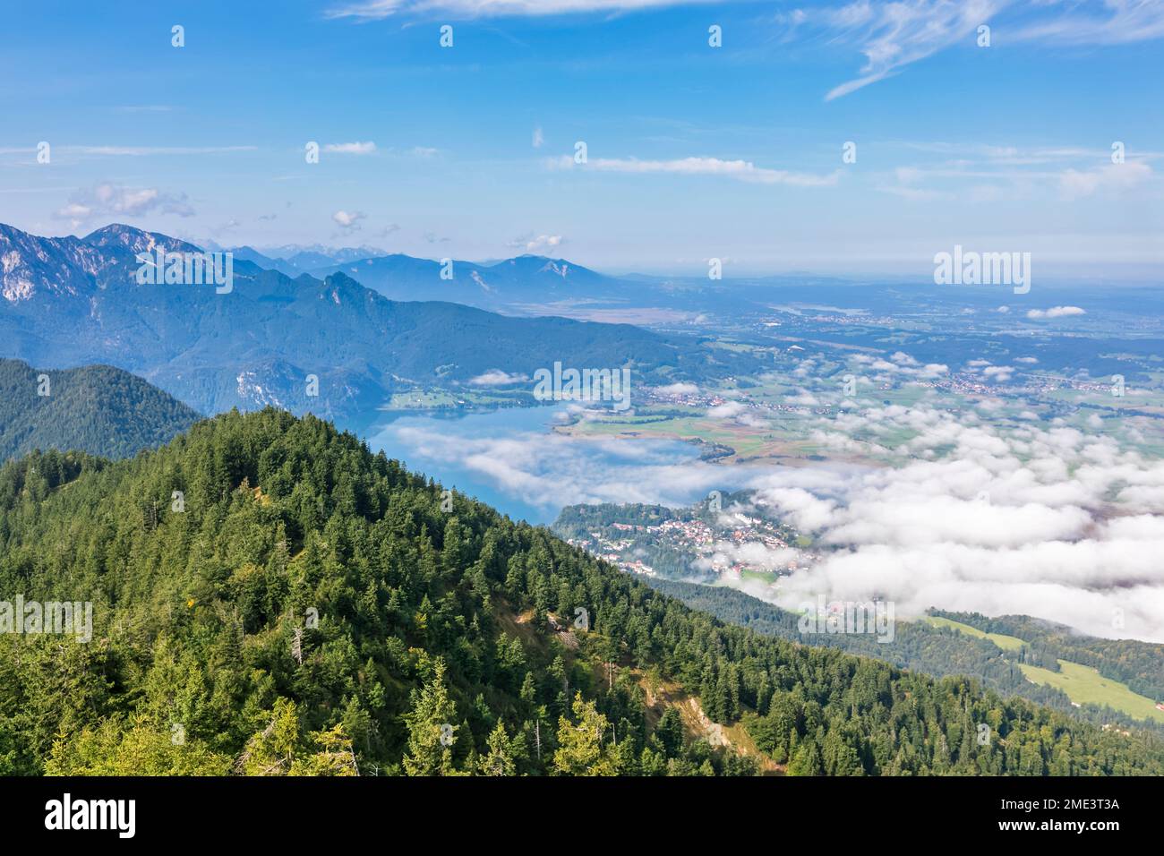 Germania, Baviera, Kochel am See, lago Kochelsee visto dalla cima boschiva in estate Foto Stock