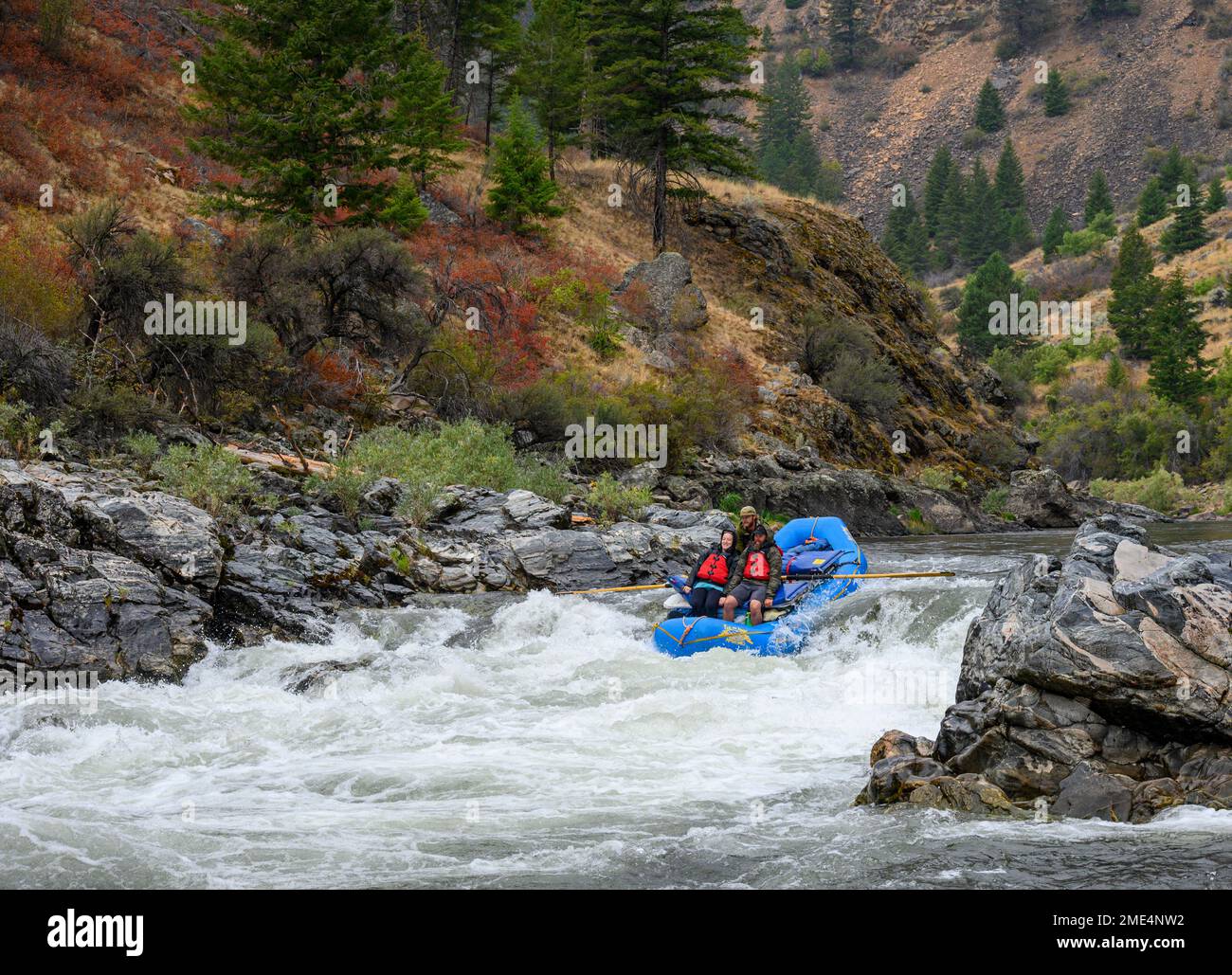 Whitewater Rafting sul Medio forcella Salmon River in Idaho con lontane avventure. Foto Stock