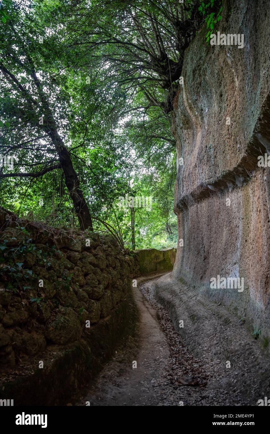 Strada stretta tra montagne rocciose sotto l'albero Foto Stock