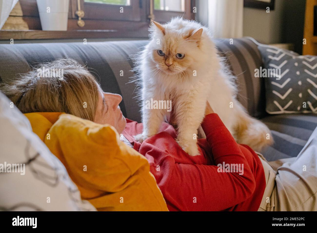 Donna con gatto sdraiato sul divano a casa Foto Stock