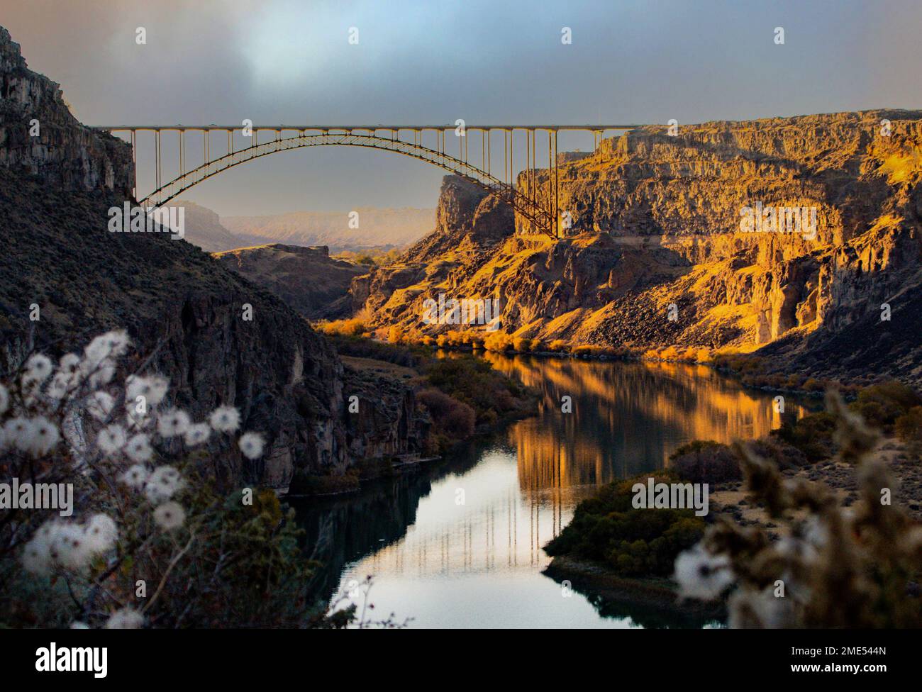 Ponte Perrine a Twin Falls. L'Idaho ha una natura mozzafiato come lo Snake River Canyon. L'ora d'oro e i fiori bianchi si aggiungono a questo paesaggio. Foto Stock