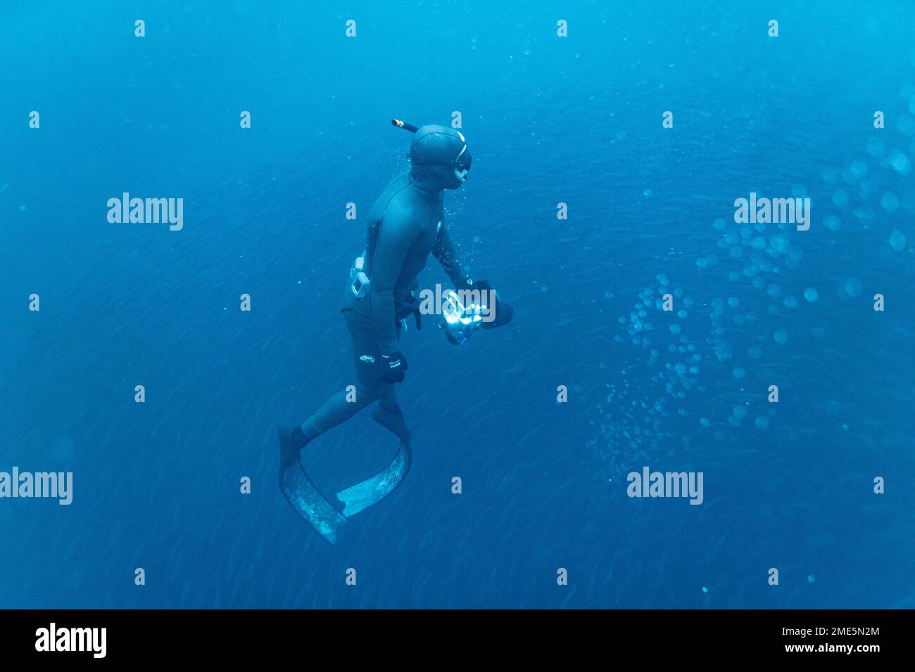 un fotografo subacqueo sale in superficie Foto Stock