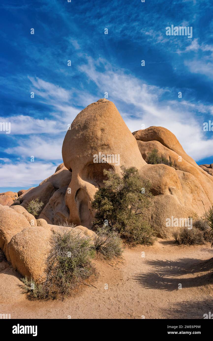 Skull Rock, una formazione rocciosa punto di riferimento nel Joshua Tree National Park, California, USA Foto Stock
