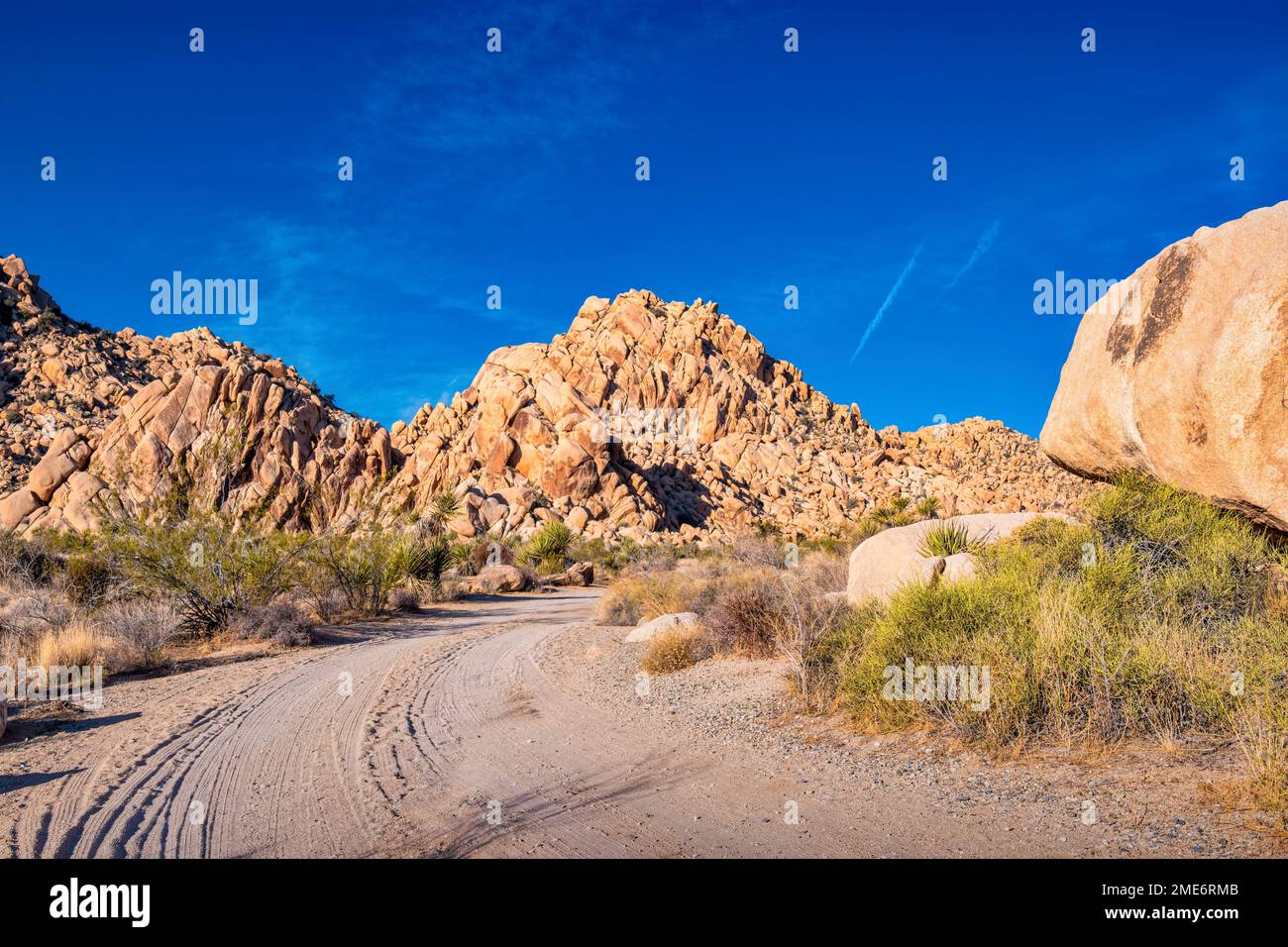 Paesaggio con strada sterrata nel Joshua Tree National Park, California, Stati Uniti Foto Stock