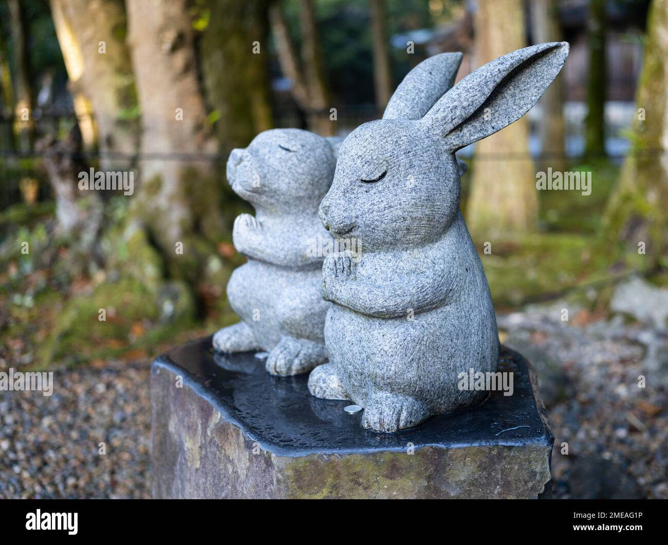 Statue di conigli che pregano a Izumotaisha, un santuario shintoista a Izumo, Shimane, Giappone. Foto Stock