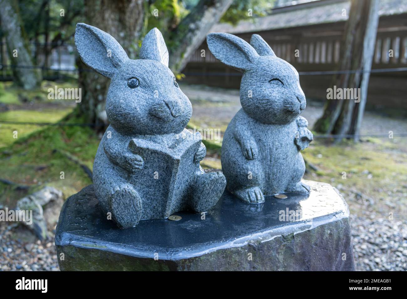 Statue di coniglio, di cui una con un libro, a Izumotaisha, un santuario shintoista a Izumo, Shimane, Giappone. Foto Stock