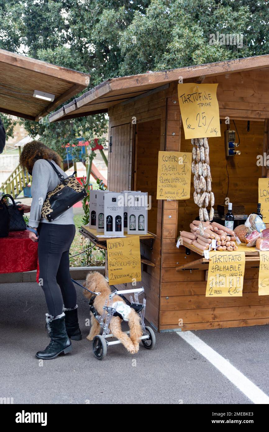 Donna e piccolo cane in sedia a rotelle al festival del tartufo a San Giovanni d'Asso, Toscana, Italia. Foto Stock
