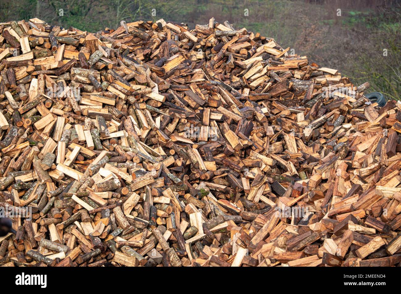 Francia, FLEURIEUX sur l'Arbresle, 2023-01-03. Pila di tronchi di legna da ardere. Fotografia di Franck CHAPOLARD Foto Stock