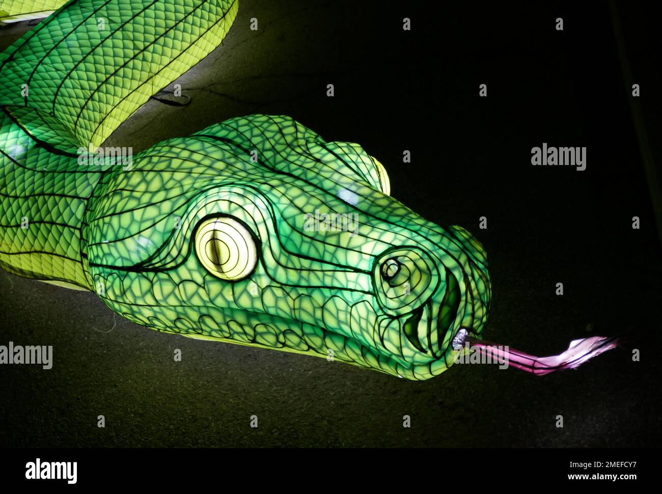 Los Angeles, California, USA 22nd Gennaio 2023 Snake allo Zoo Lights si illumina il nuovo anno lunare e la notte finale delle luci dello Zoo il 22 Gennaio 2023 a Los Angeles, California, USA. Foto di Barry King/Alamy Stock Photo Foto Stock