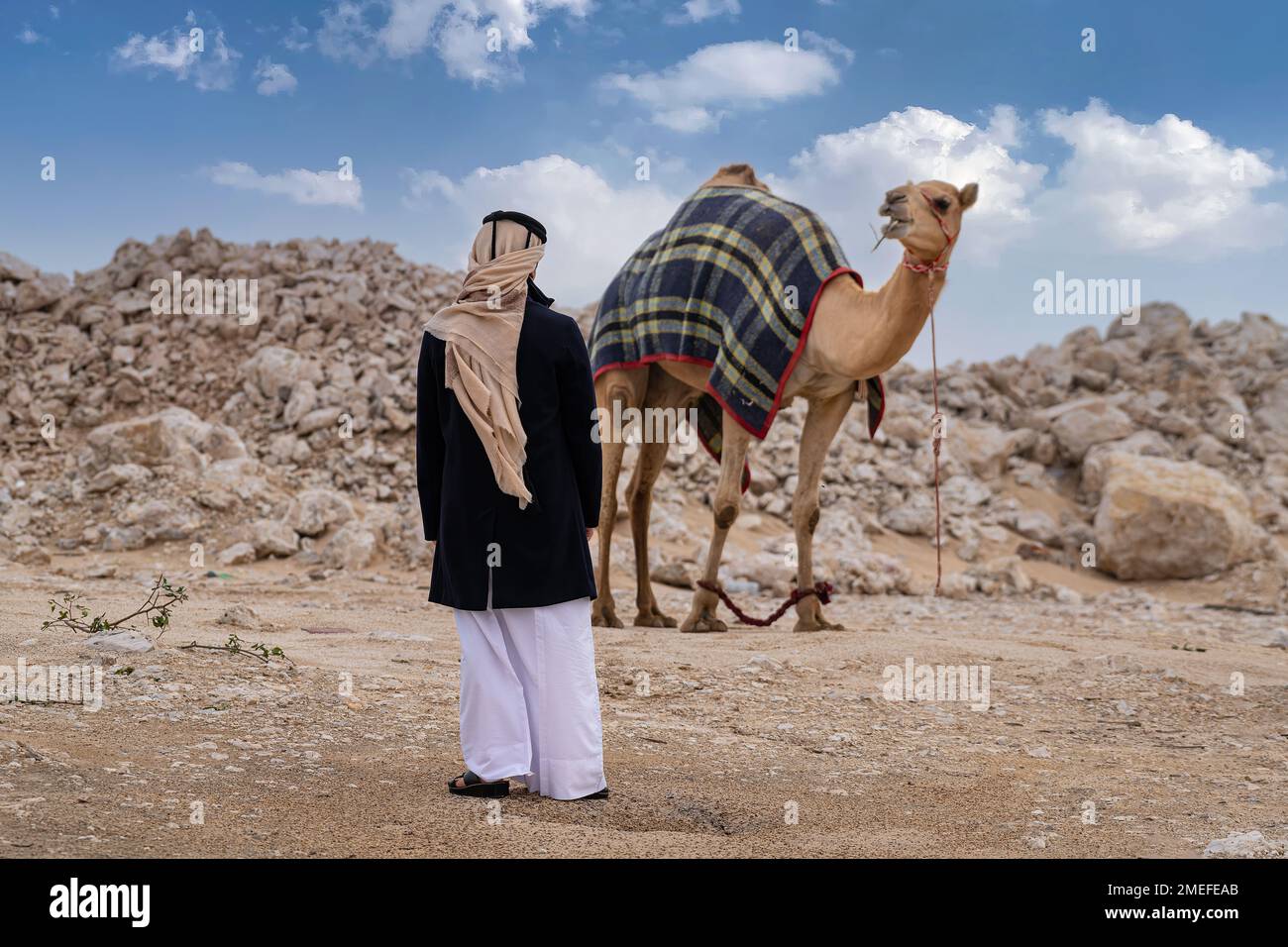 Arabo e cammello in fattoria. Cammello nel deserto con l'uomo arabo Foto Stock