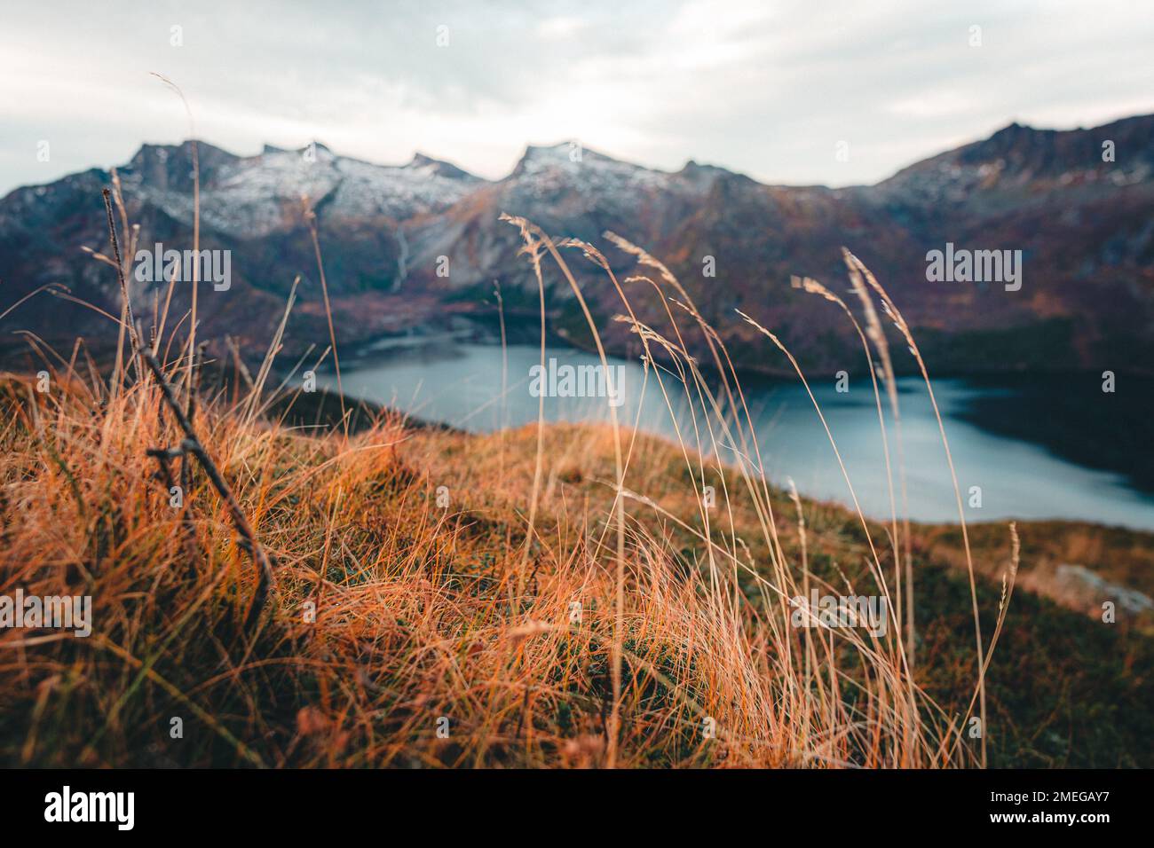 Vista da Tjeldbergtind Svolvær, Lofoten, erica, lifestyle trekking montagna foto Foto Stock