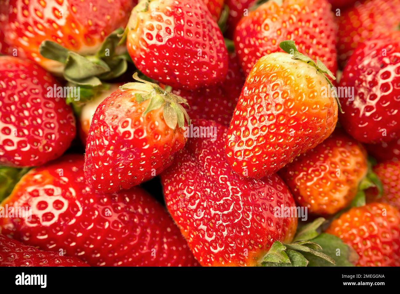 Primo piano fragole fresche Foto Stock