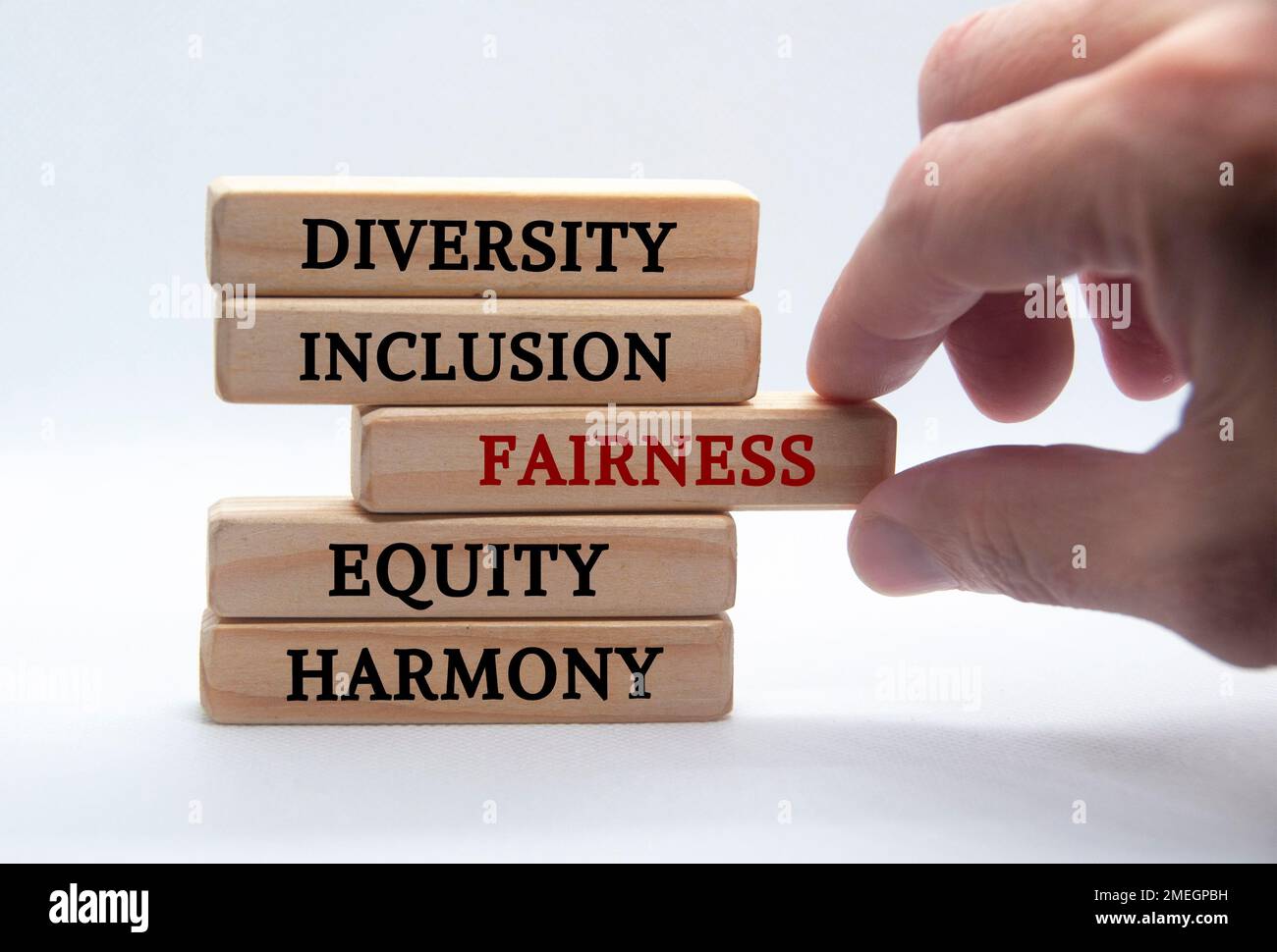Diversità, inclusione, equità, equità e armonia testo su blocchi di legno con sfondo bianco. Concetto di diversità. Foto Stock