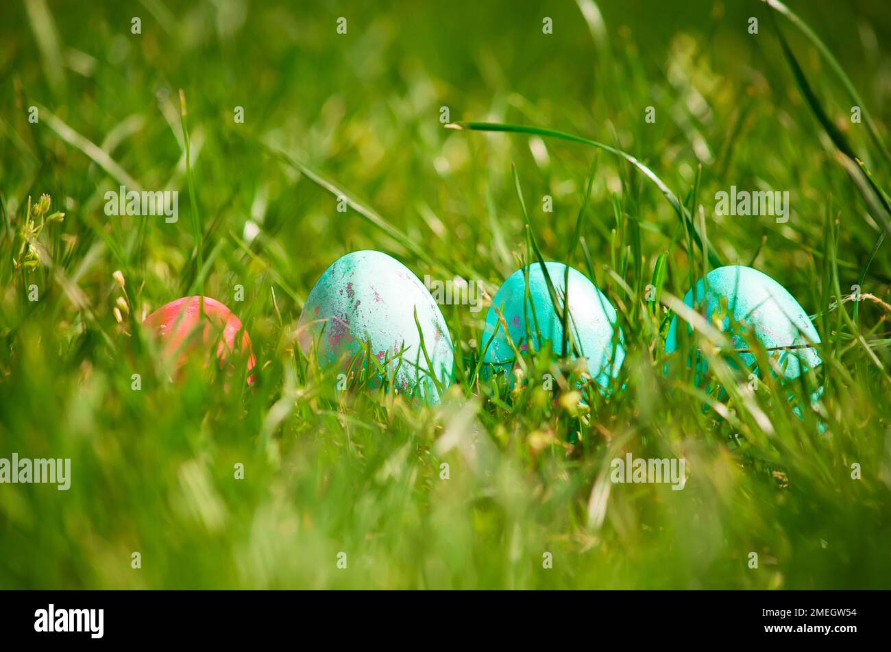 Uova di Pasqua che si nascondono nell'erba , primavera Foto Stock