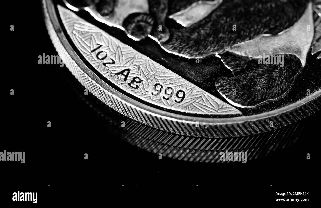 Macro primo piano di Silver Bullion Coin su uno sfondo a specchio nero Foto Stock