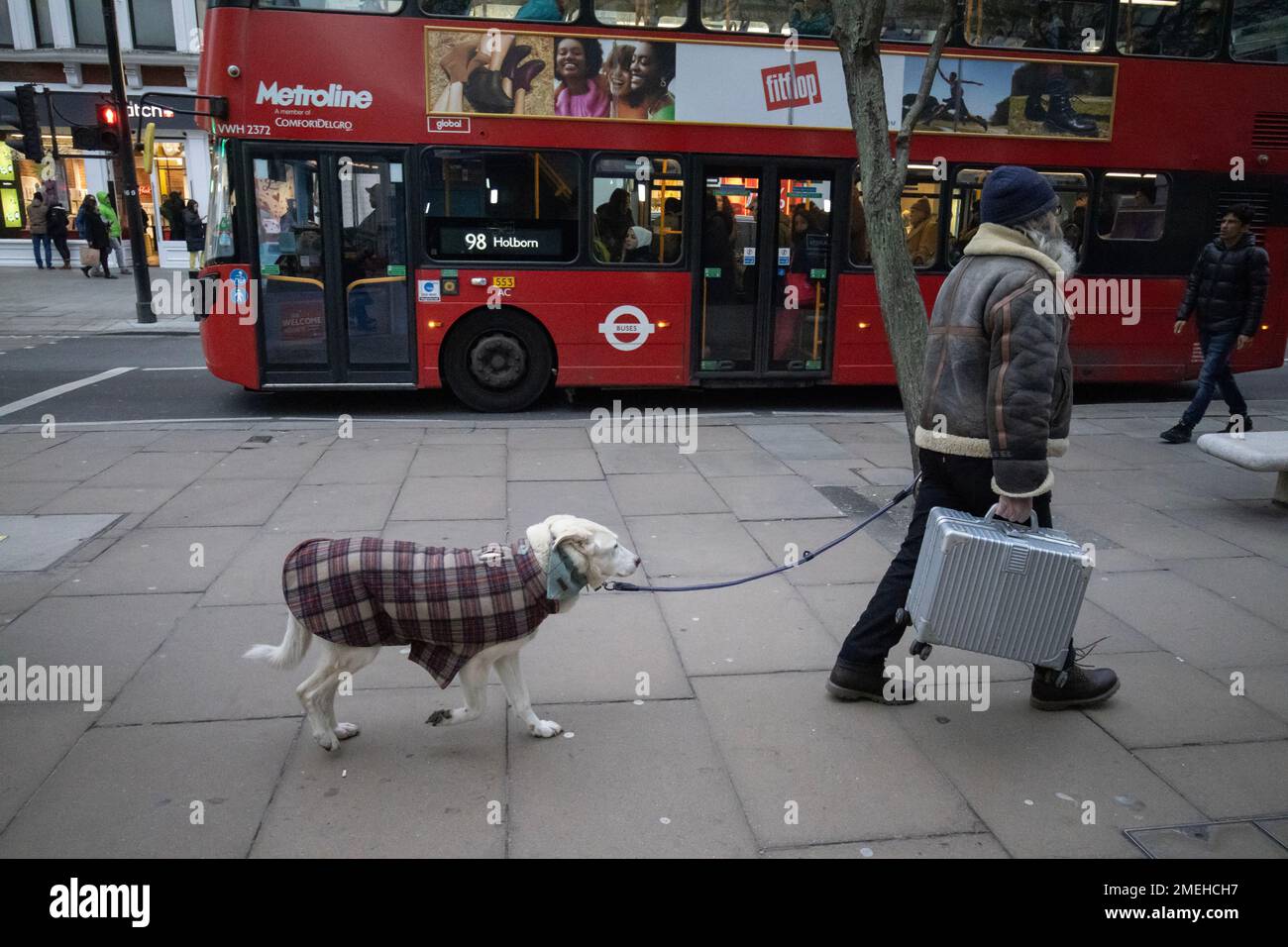 Cane vestito in un cappotto invernale mentre è condotto dal suo proprietario che trasporta una valigetta metallica lungo Oxford Street, nel centro di Londra Foto Stock