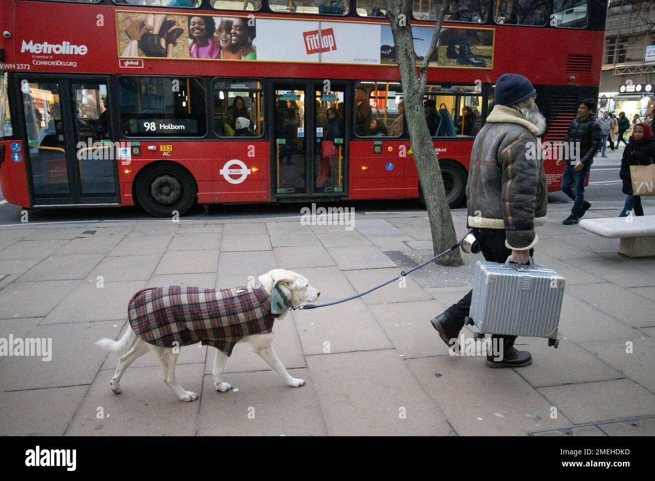 Cane vestito in un cappotto invernale mentre è condotto dal suo proprietario che trasporta una valigetta metallica lungo Oxford Street, nel centro di Londra Foto Stock
