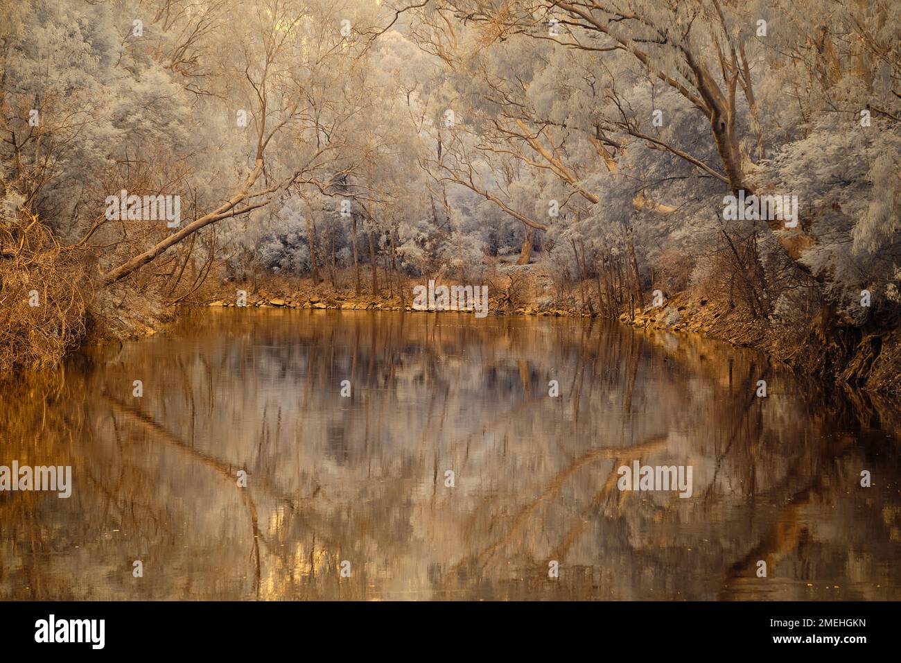 Yarra River Infrared Foto Stock