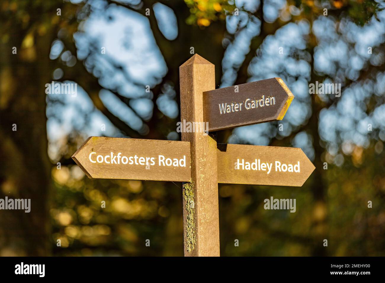 Barnet, Londra, Fotografia locale Foto Stock