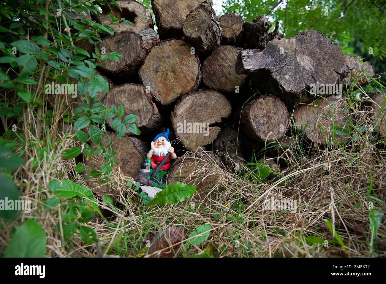 Gnomo giardino divertente in un giardino verde. Foto Stock