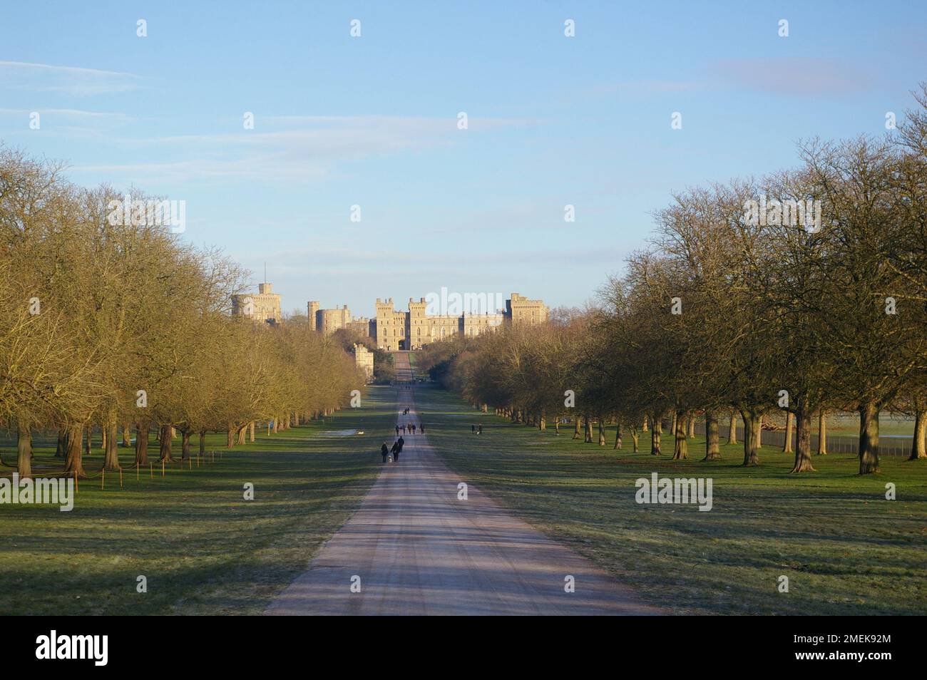 Windsor Great Park e la lunga passeggiata - una mattina di gennaio Foto Stock