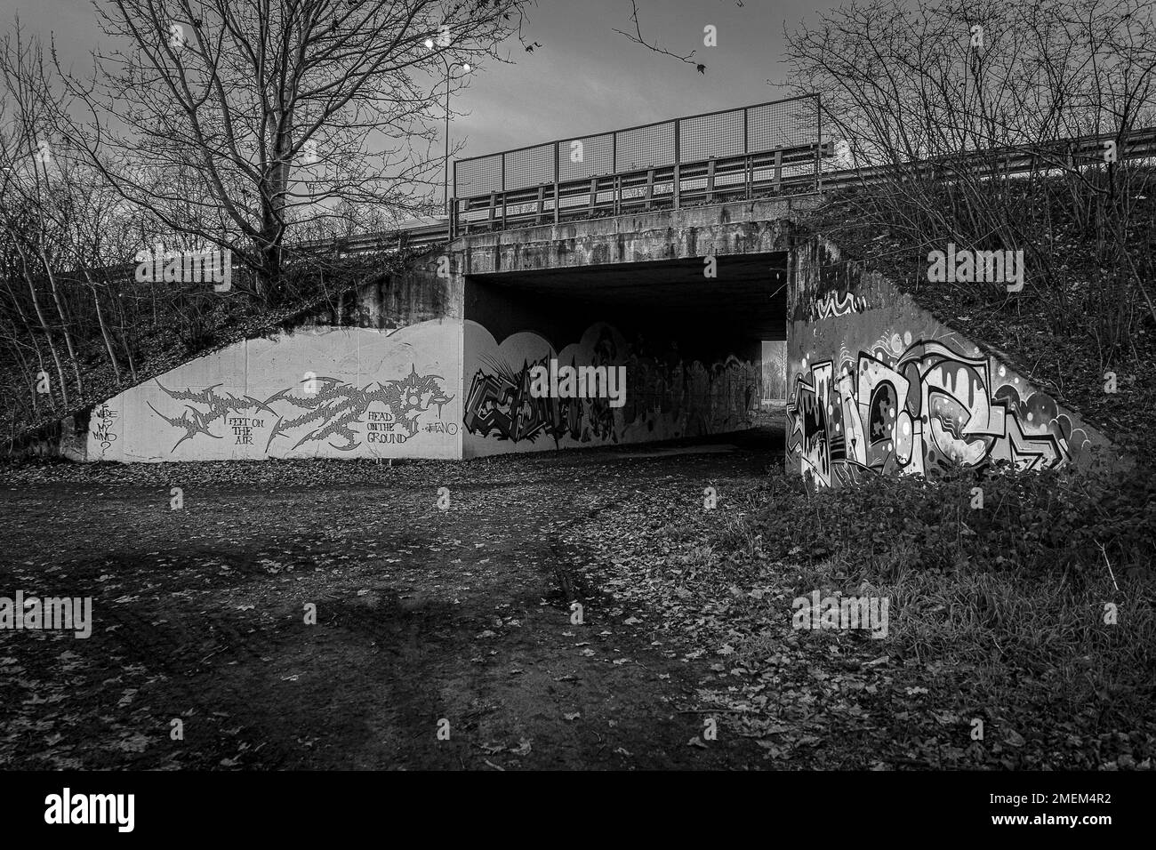 L'arte di strada è una forma di arte pubblica che si trova nelle aree urbane, trasformando i paesaggi urbani in mostre colorate e dinamiche che riflettono la cultura locale Foto Stock
