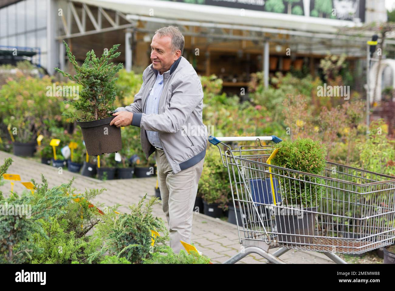 Shopping uomo di mezza età nel centro giardino Foto Stock
