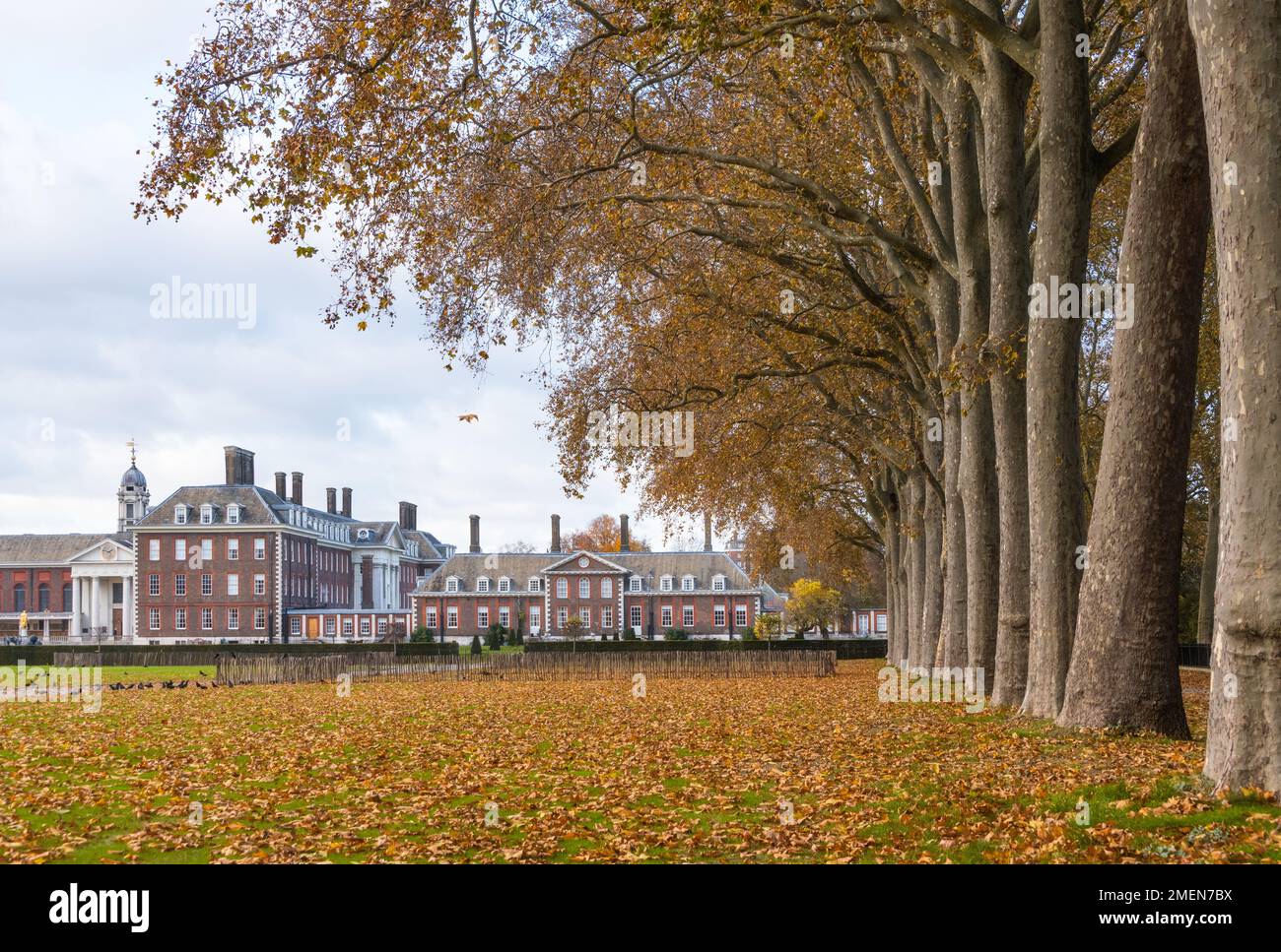 Vista verso il Royal Hospital Chelsea in autunno, Chelsea, Londra, Inghilterra Foto Stock
