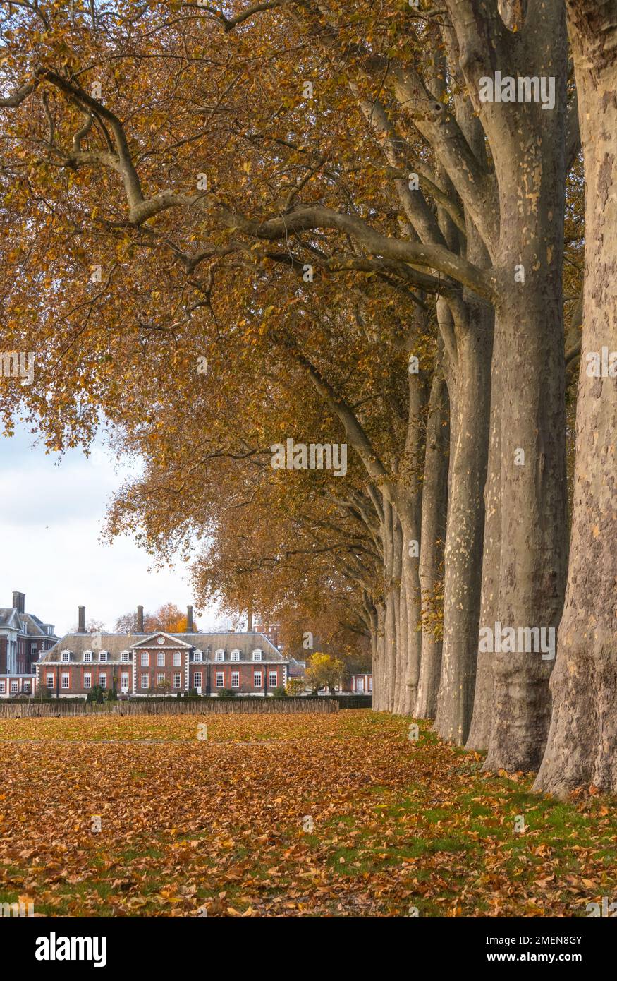 Vista verso il Royal Hospital Chelsea in autunno, Chelsea, Londra, Inghilterra Foto Stock