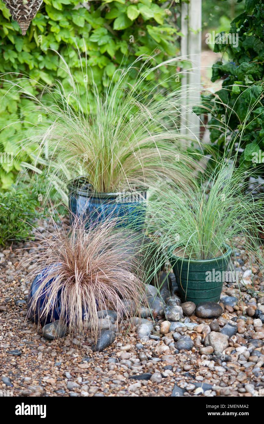 Stipa tenuissima, Carex comans 'Bronze Perfection' ed Eragrostis elliottii in contenitori smaltati in un giardino di ghiaia e ghiaia Foto Stock