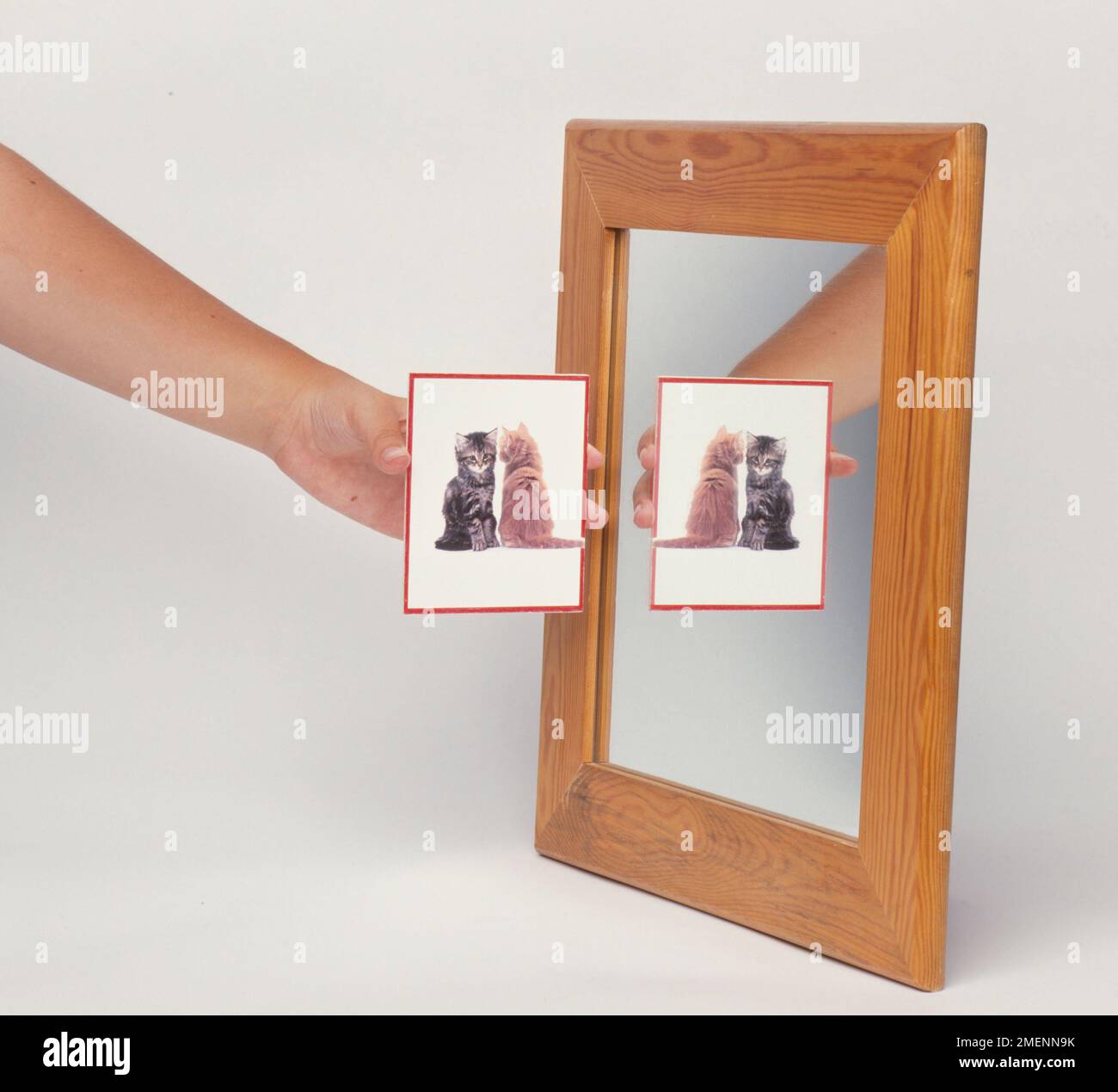 Immagine riflessa in specchio Foto Stock