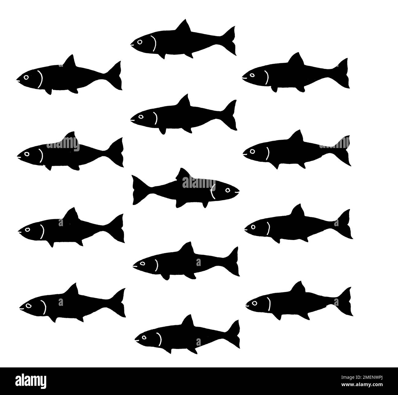 Illustrazione in bianco e nero di un gruppo di pesci, con un nuoto nella direzione opposta Foto Stock