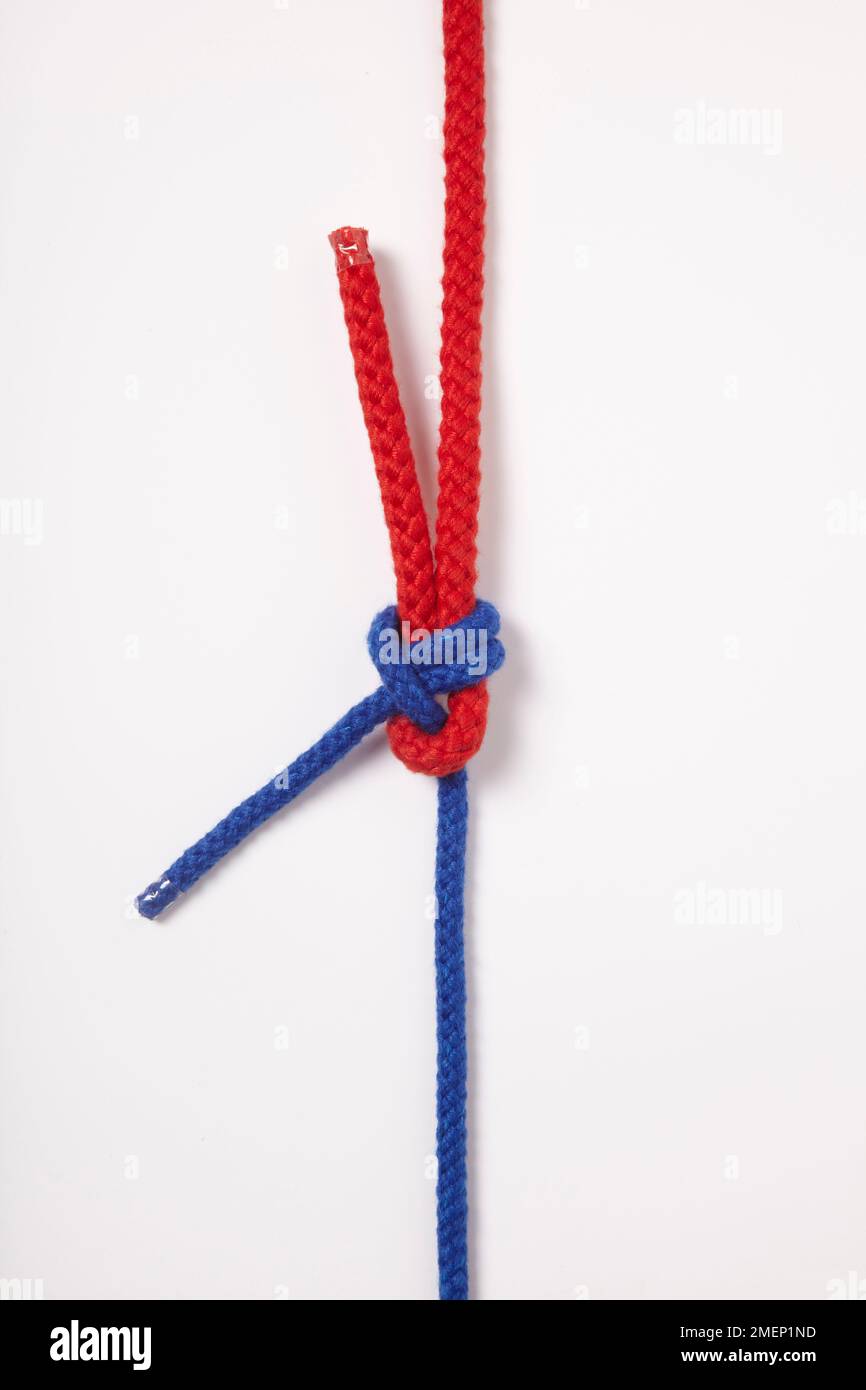 Doppia piegatura foglio, nodo legato con due corde in rosso e blu Foto Stock
