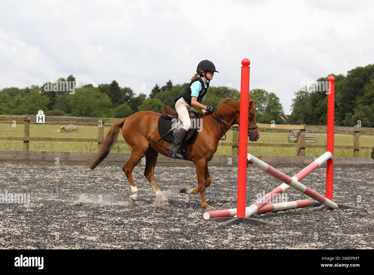 Ragazza che si prepara a cavalcare il pony sopra il salto nel paddock durante la lezione di equitazione, vista laterale Foto Stock