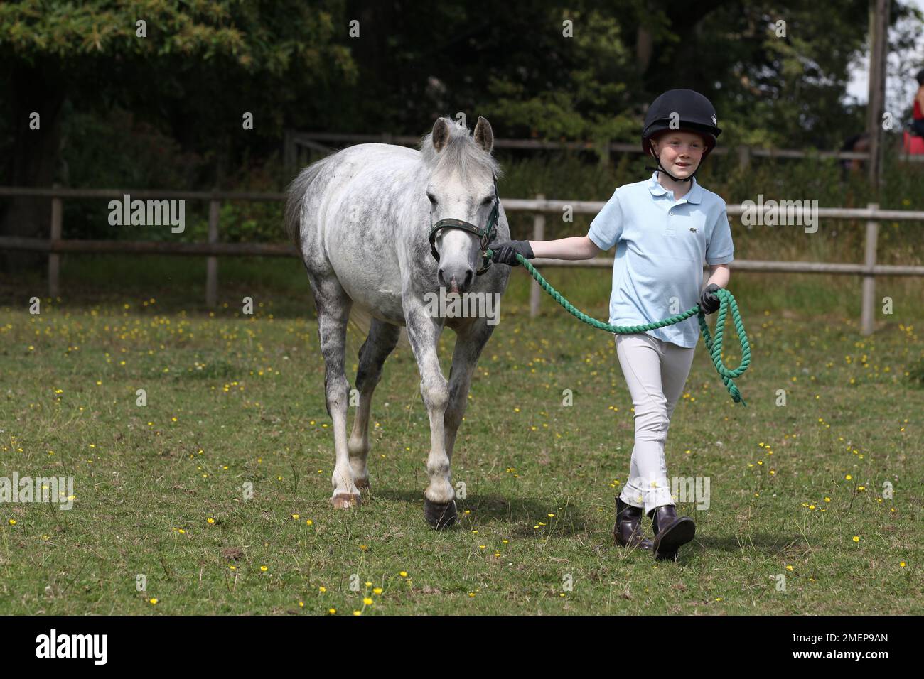 Giovane ragazzo che cammina pony grigio dal campo utilizzando rein piombo attaccato a halter, vista frontale Foto Stock