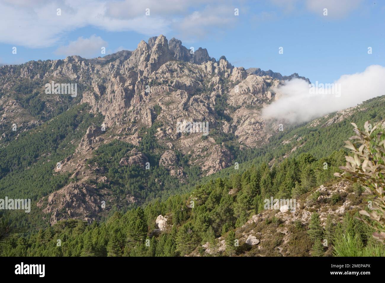 Francia, Corsica, Aiguilles de Bavella vicino alla cima del col de Bavella Foto Stock