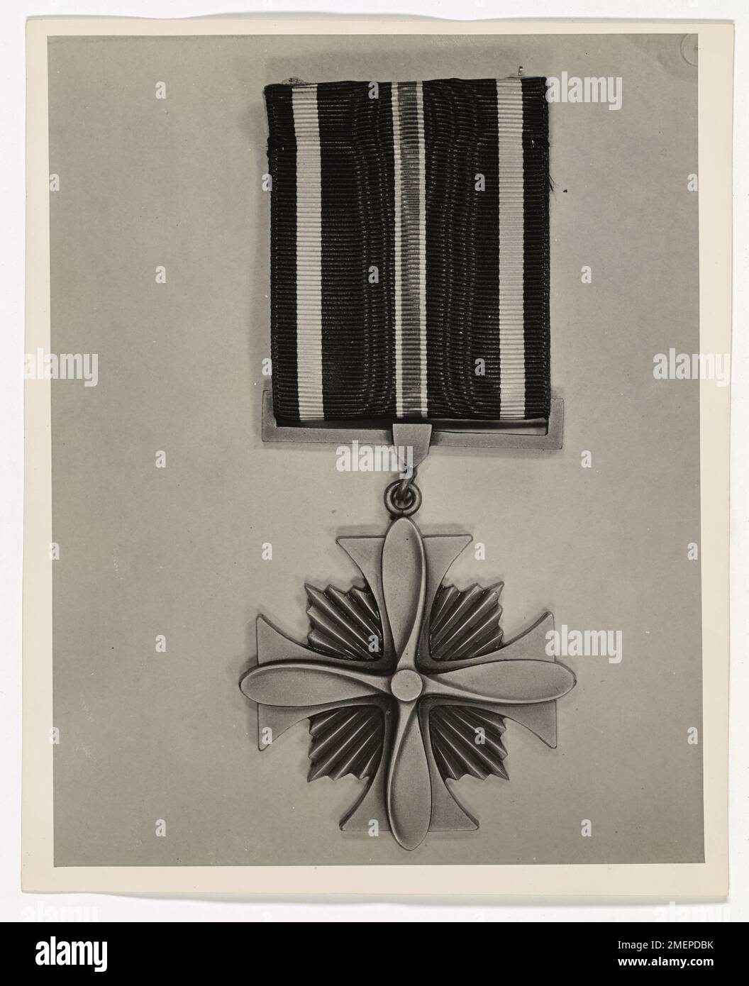 Medaglia Flying Cross. Foto Stock